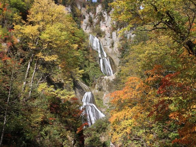 �g�t�ɉf����_�H�߂̑�