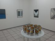 �T�r�L����̐���׎��|�p�فE�s���M�������[�̓��e�ʐ^3