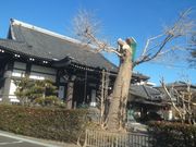 �T�r�L����̊C�����̓��e�ʐ^1