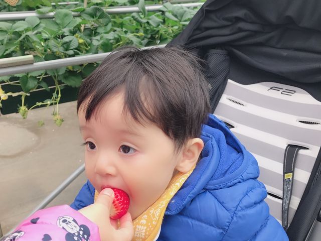 ���ݍ͔|�̂��߁A�x�r�[�J�[���X�C�X�C�B�������Y��ł�(^^)_�֍��_��