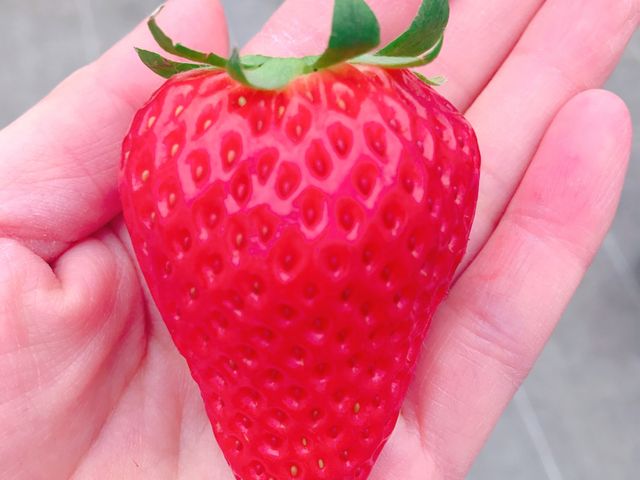 �Â��Ăǂ���������������ł��I_�֍��_��