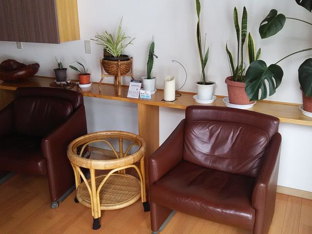 xeXy[XBڂ̑OɐdXg[u܂B_forestoc