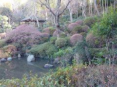 岳さんの薬師の泉庭園の投稿写真1