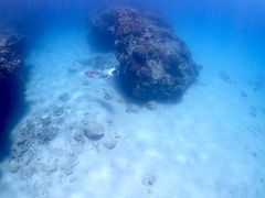 ܂䂣~COSMIC OCEANւ̓eʐ^1