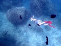 ܂䂣~COSMIC OCEANւ̓eʐ^2