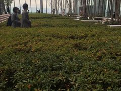 ܂񂳂̃nJX300ւ̓eʐ^1