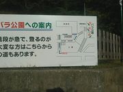 L^Ĵ݉΂牀̓eʐ^1