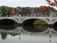 �����̂�������̐���勴�ւ̓��e�ʐ^1