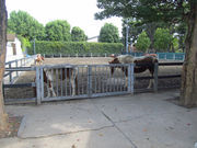 [oXeBA04̔蕶J̓eʐ^2