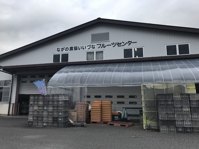 SHIN̂Âȃt[cZ^[̓eʐ^1