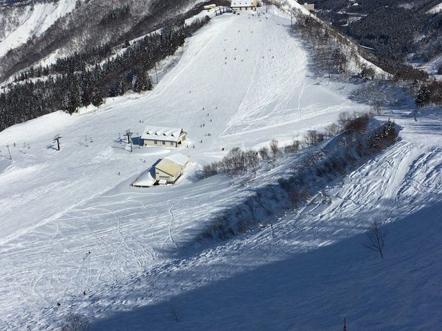 �㕔_�_���X�m�[���]�[�g