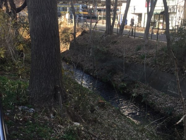 �ׂ�����ł��B_�ʐ�㐅