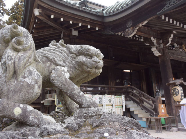 ����������ρI_�}�g�R�_��