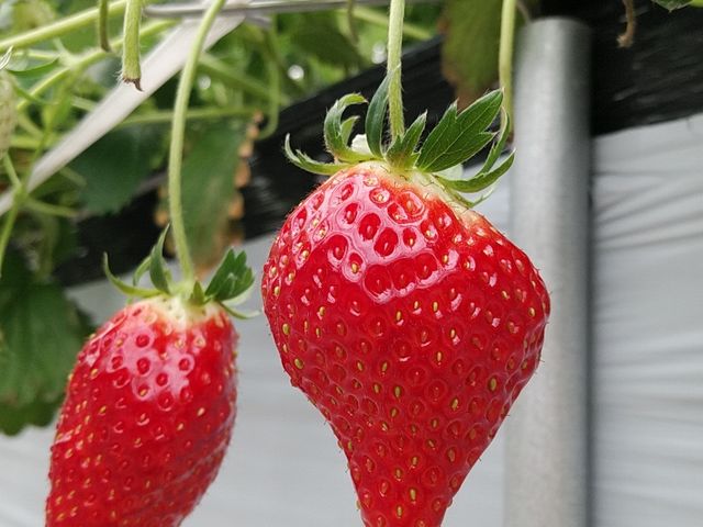 �ƂĂ��Â��Ƃ����Ƃ�_���������̋��@���V�������_��