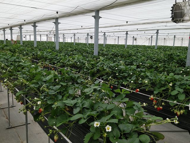 �Y��ȃn�E�X�B_���������̋��@���V�������_��