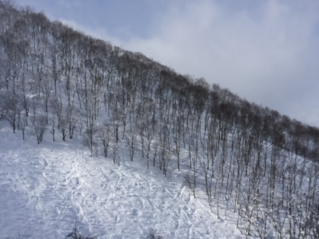 �p�E�_�[_���������X�L�[��