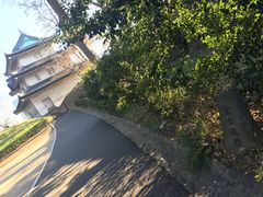 �q���V����̕x�m���E�ւ̓��e�ʐ^1