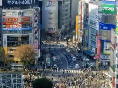 ͂񂳂̏aJwOXNu_ւ̓eʐ^1