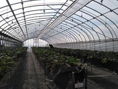 񂢂̊ЃWFCGC܂t@[ւ̓eʐ^1