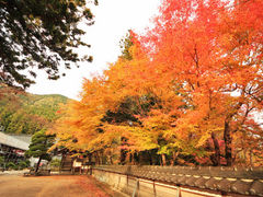 カナッペさんの長安寺（京都府福知山市）の投稿写真1