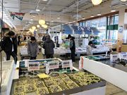 Ƃ񂳂̃}iJ QX̓eʐ^2