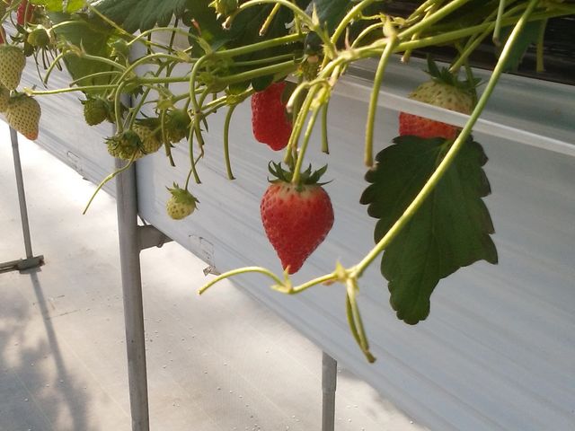 ���傤�ǂ��������Ȃ̂�
�����ɂ��Ȃ�Ȃ�_���������̋��@���V�������_��