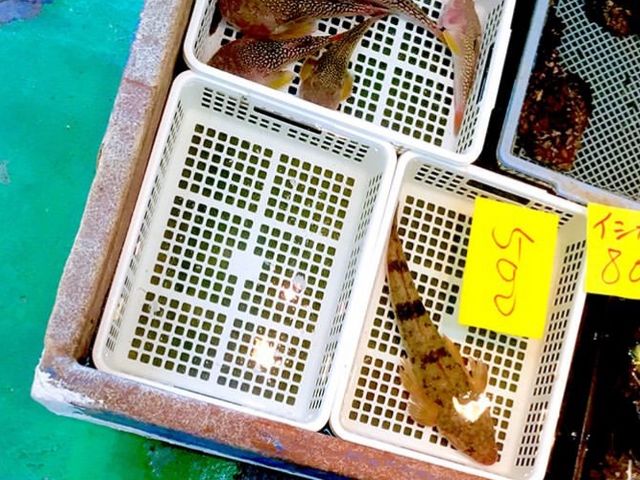 ��s��I�I_�򍲖싙����s��