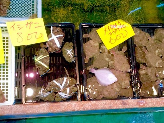 ��s��I�I_�򍲖싙����s��