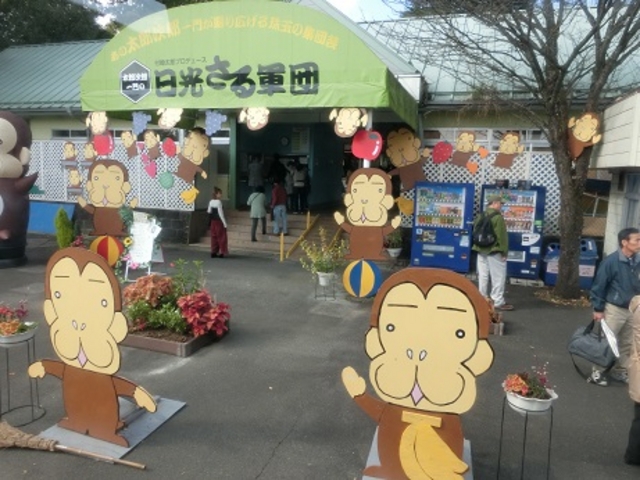 ��������R�c_�����郉���h���A�j�^�E��