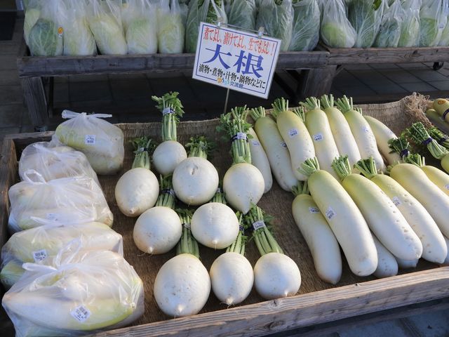 白菜、大根_道の駅 黒井山グリーンパーク