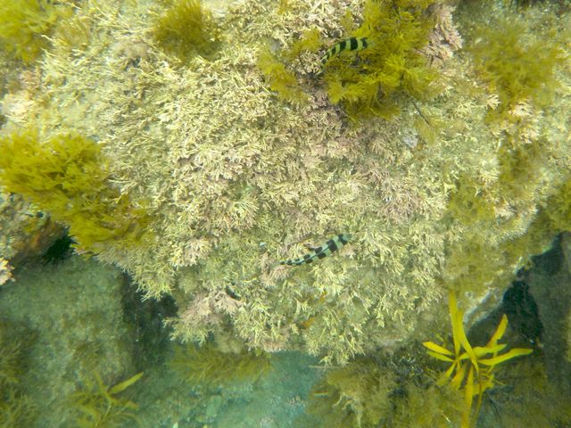 �Ո��l�|�ÊC������E�T���o�\�E�c��+��_�Ո��l�|�ÊC������