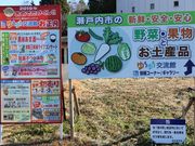 Ƃ񂳂̒̂؃J[s̓eʐ^1