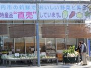 Ƃ񂳂̒̂؃J[s̓eʐ^2