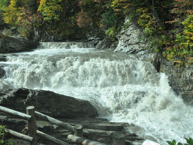 �O�i�̑�_�O�i��