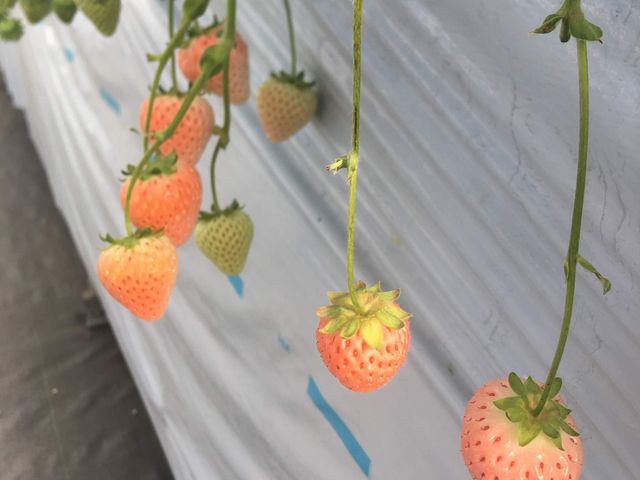 �s���N������_���c���������_��