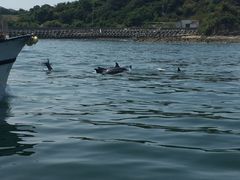 ���₳��̃C���J�E�H�b�`���O�i���̉w �V���s�C���J�Z���^�[�j�ւ̓��e�ʐ^1