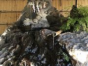 chaka̔nא_Ђ̓eʐ^4