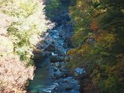 C[XgEbh̑yxkJ̓eʐ^3