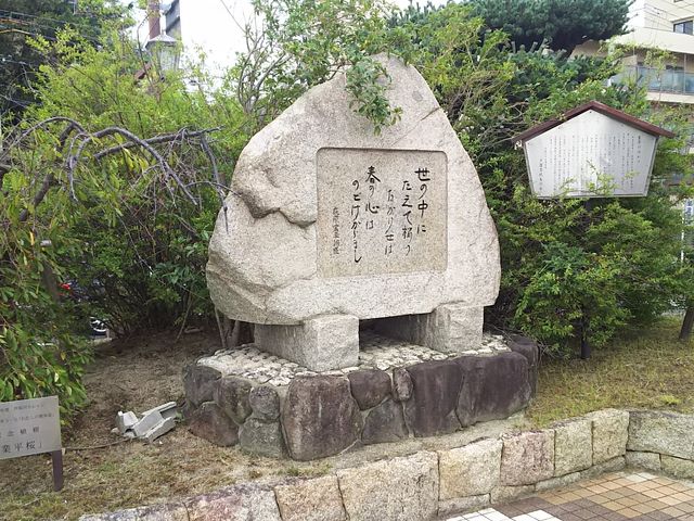 ܂[񂳂̍݌ƕ̉̔̓eʐ^1