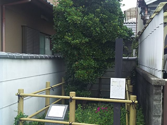 ܂[񂳂̐ÌO̒˂̓eʐ^1