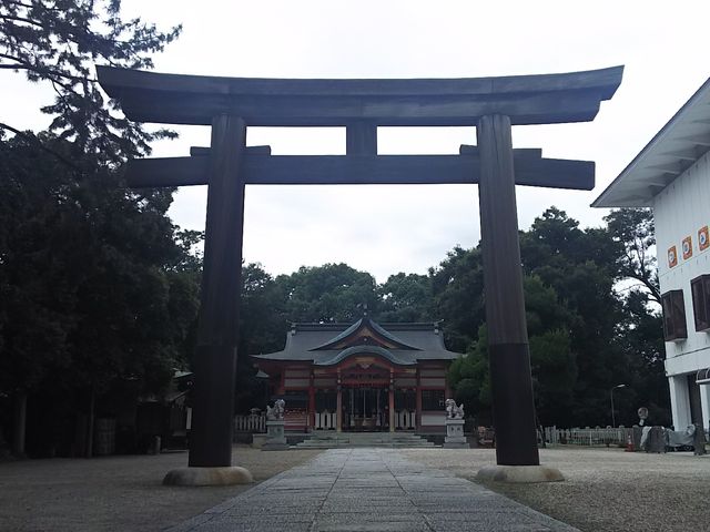 ܂[񂳂̐Ήvʐ_Ёi{j̓eʐ^1