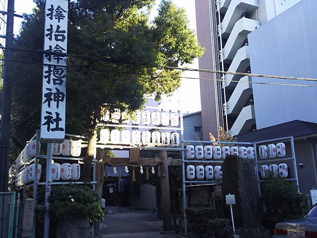 �T���n���_��_�T���n���_��