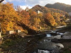 Gh[̒Rktze~I[lւ̓eʐ^1