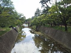 �܂�[�񂳂�̏g��͐�~�Βn�i�g������j�ւ̓��e�ʐ^1