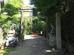 ܂[񂳂̑L_Ђւ̓eʐ^1