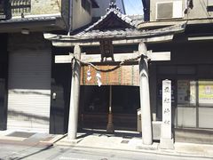 ܂[񂳂̖c_Kւ̓eʐ^1