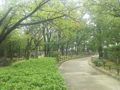 まるーんさんの西田公園万葉植物苑への投稿写真1