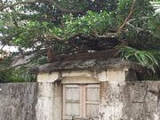 �܂�[�񂳂�̎񗢐X��Ԃ̓��e�ʐ^1