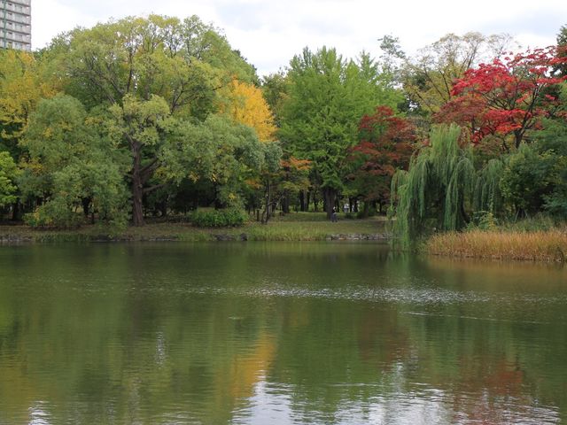 �Ҋ��r_��������