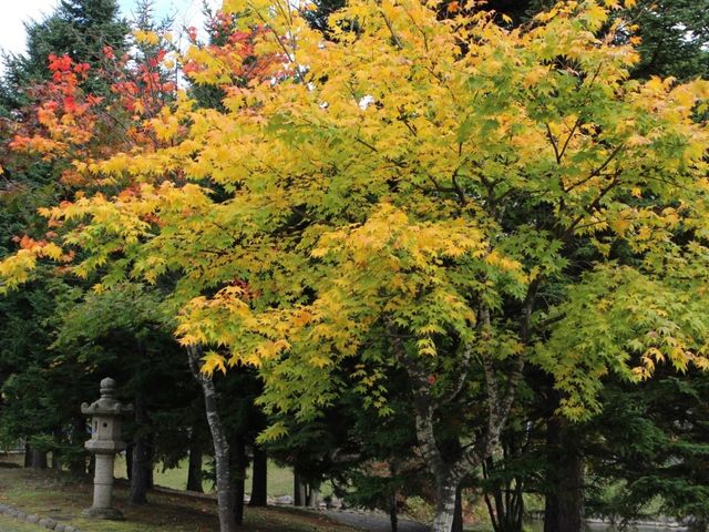 �U���H_��������